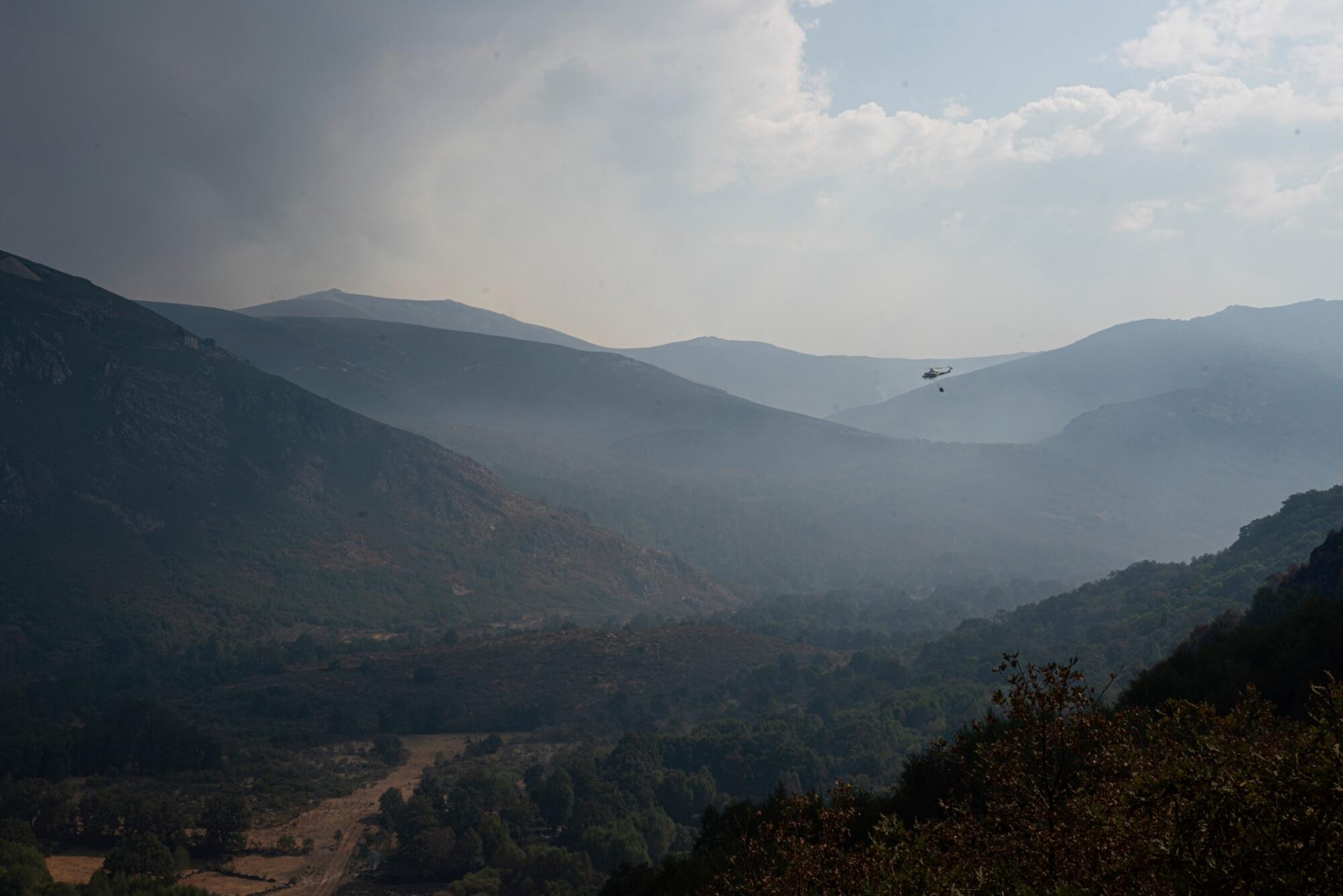 Incendio en Trevinca 2025 - 2